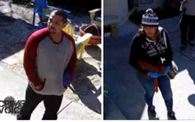 Palo Alto Police seek brazen day time burglars