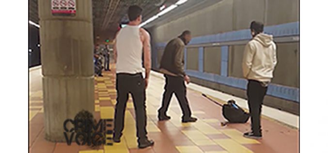 Man Assaults Victim in the Hollywood Metro Station