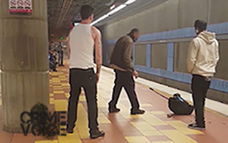 Man Assaults Victim in the Hollywood Metro Station