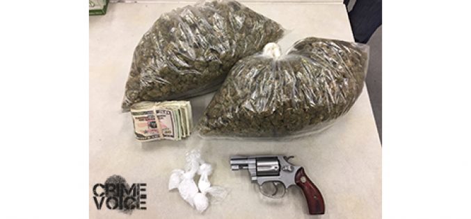 Traffic Stop Becomes Drug Arrest