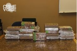 $6.8 Million Drug Bust