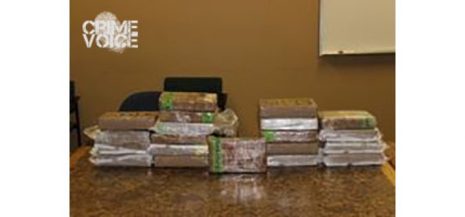 $6.8 Million Drug Bust