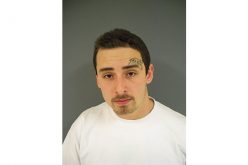 Hollister Resident Shoves Burglars Off Fence and Into Police Custody