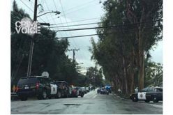 Four Burglars Quickly Caught