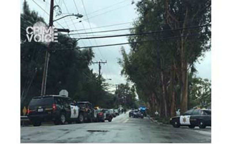 Four Burglars Quickly Caught