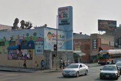 Homeless Man Damages 29 Cars in Vandalism Rampage