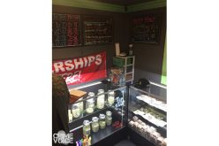 Illegal Marijuana Dispensary Shut Down