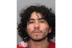 Purse-snatching suspects found in San Francisco after brazen daytime robbery