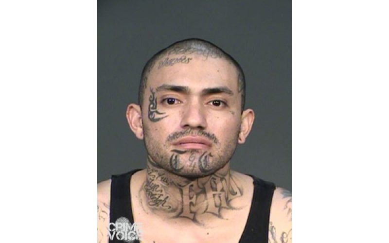 Two Gang Members Arrested After ‘Shots Fired’