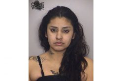 Police Find Large Pile of Stolen Mail in Car