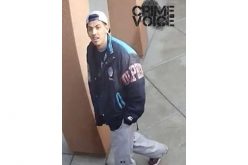 Have You Seen These Two Burglars?