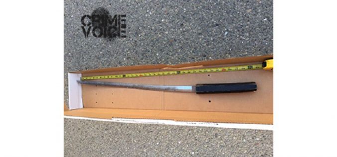 Homeless Swordsman Arrested after Fleeing from Encampment