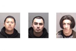 Three Arrested for Vandalism in Los Banos