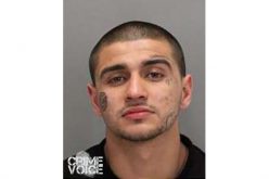 Arrest made in San Jose purse snatching