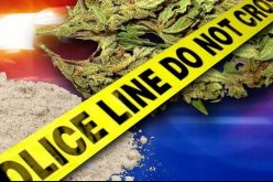Marijuana Grow and Sales Stopped at Porterville House