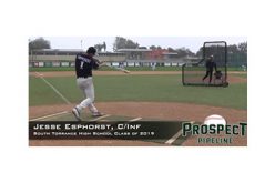 High School Baseball Player Killed During Hit-and-Run