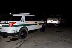 Fresno Juvenile Arrested for Murder of Grandmother