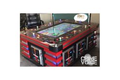 Illegal Gambling Bust