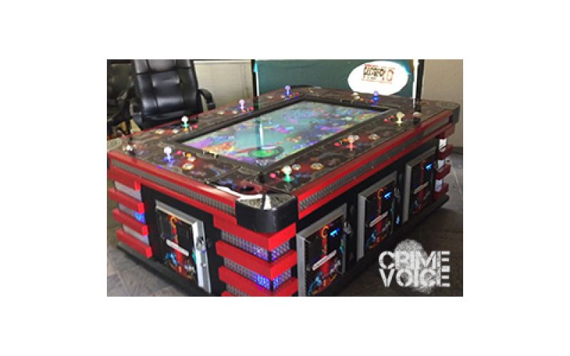 Illegal Gambling Bust