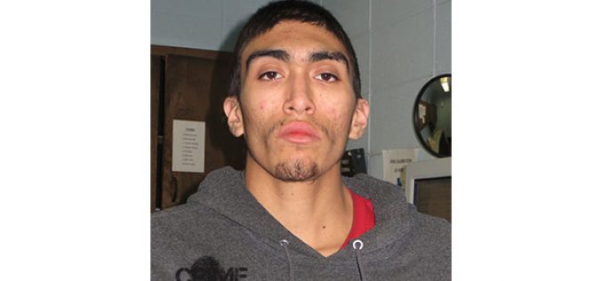 19-Year-Old Linked to at Least Nine Thefts