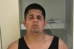 Stolen Vehicle Chased, Returned