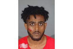 DUI, Hit-And-Run, Manslaughter