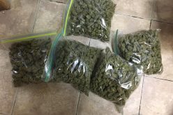 Search Warrant Leads to Arrest