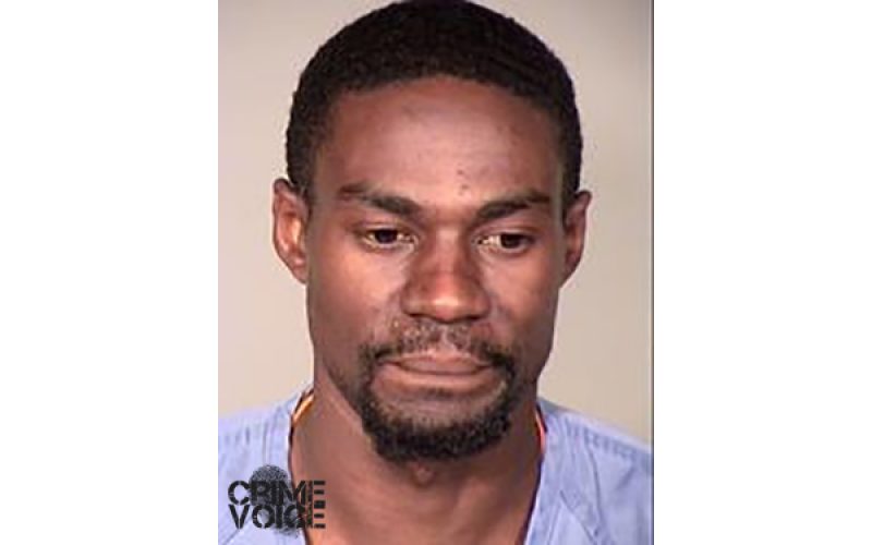 Window Breaking Burglars Busted