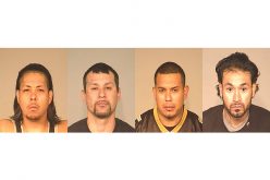 4 in Stolen Van Unsuccessfully Run