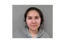 Suspect Arrested after Marijuana Bust in Chowchilla