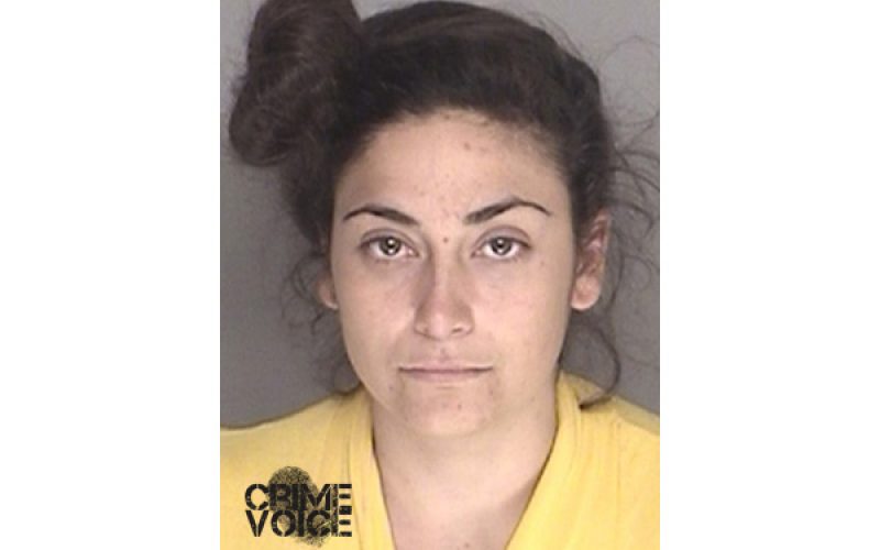 Burglary Leads to Numerous Charges