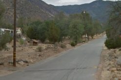 Attempted Murder Incident in Bodfish