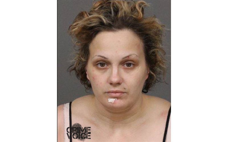 Drugs, Check Fraud Charges for SLO Trio