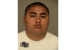 Trio Nabbed for Carjacking and Robbery