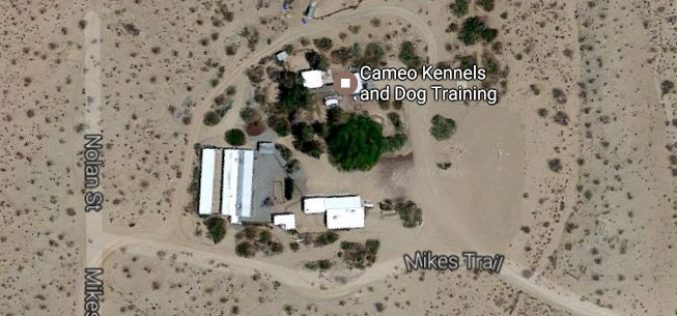 Deadly Shooting at Ridgecrest Kennel