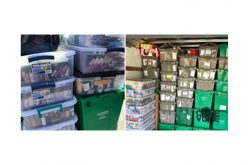 Couple Linked to Store Robberies Arrested During Police Search