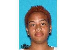 3 Arrested in Gang Operation