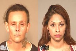 FPD Reports Similar Stories of Auto Theft Arrests
