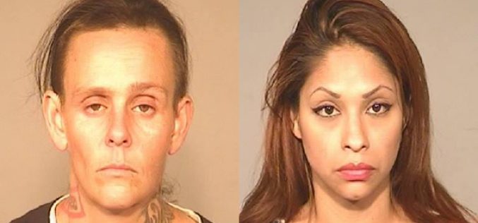 FPD Reports Similar Stories of Auto Theft Arrests