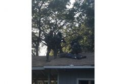 El Dorado County Homicide Suspect Arrested