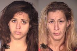 Multiple Charges for Lady Car Burglars