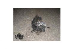 Errant Drone Operator causes tens of thousands of dollars in damage