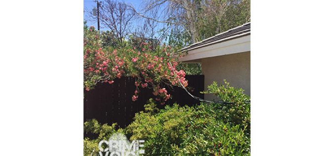 Electrical Fire Leads to Discovery of Marijuana Grow