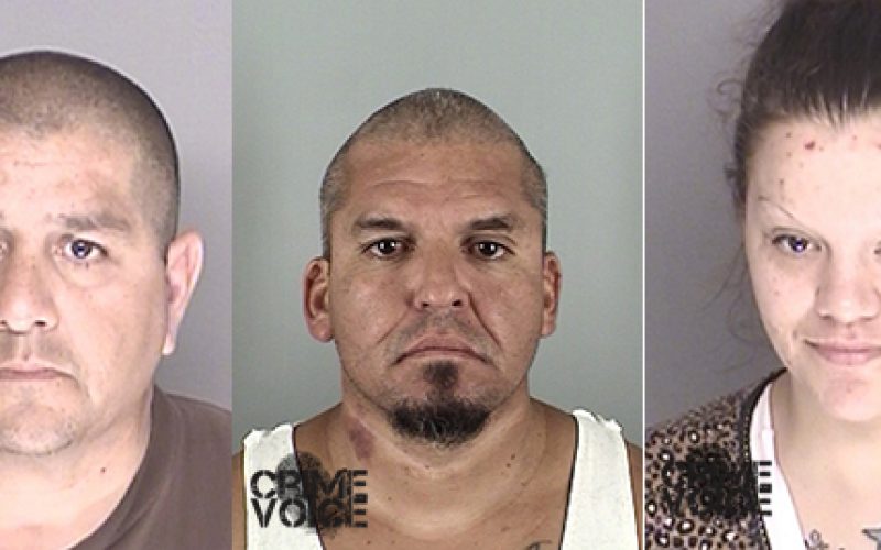 Five Busted on Guns & Drug Violations