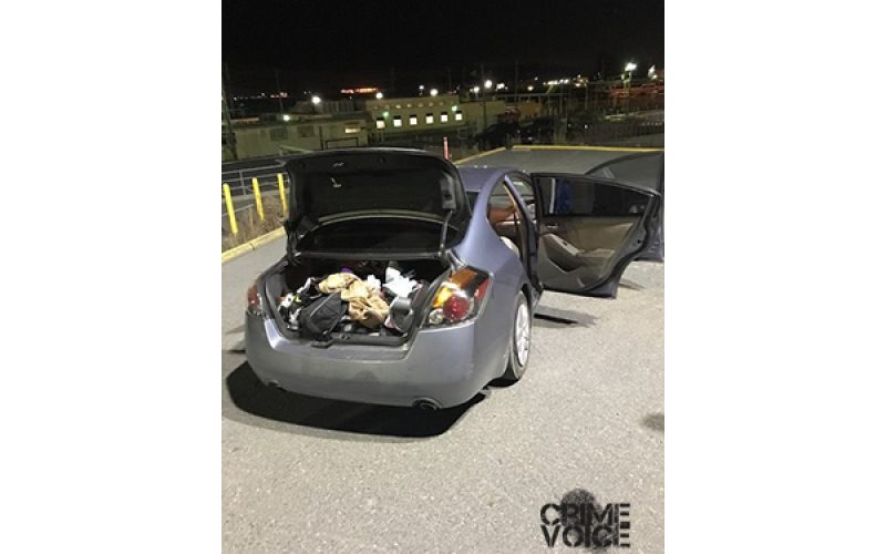 Police Dog Assists in Arrest of Suspect Hiding at Oil Refinery