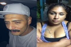 Two arrested after probation search turns up ammo, drugs