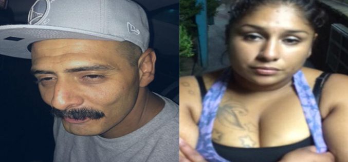 Two arrested after probation search turns up ammo, drugs