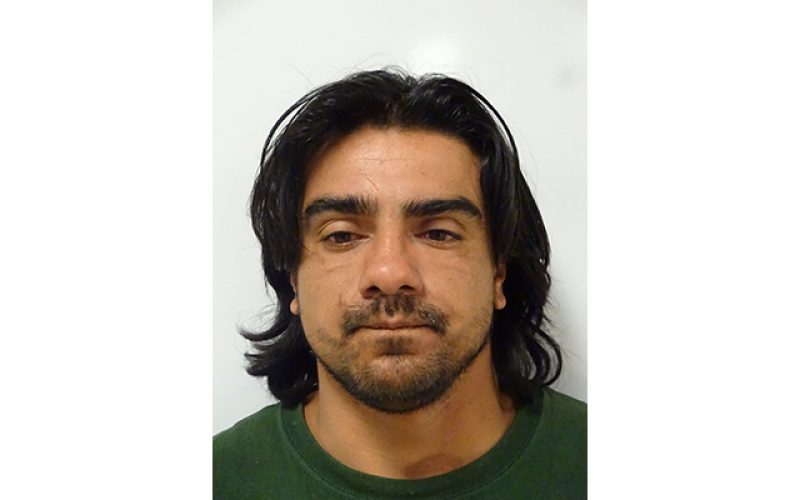 Domestic Abuse Ends Tragically for Upper Lake Woman