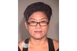 Hi-Tech Nabs Auto Thief