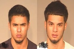 Parking Violation Leads to Drug Bust